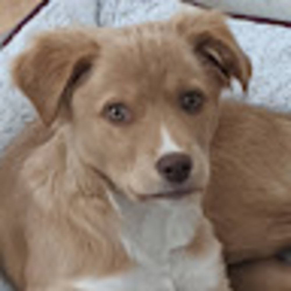 Meet your Posher, Kylee